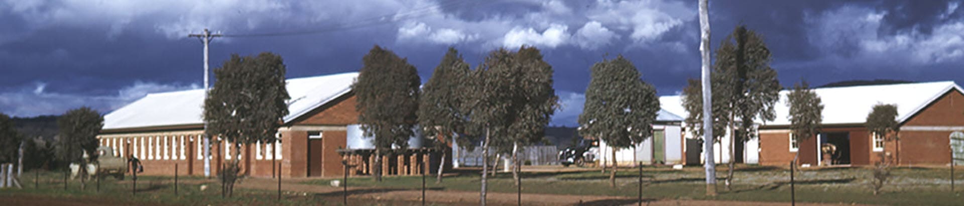 Downer Community Association
