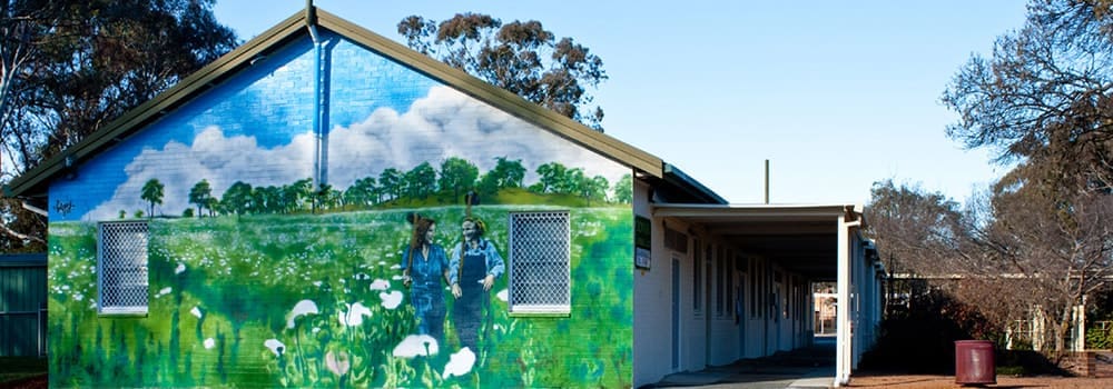 Downer Community Association